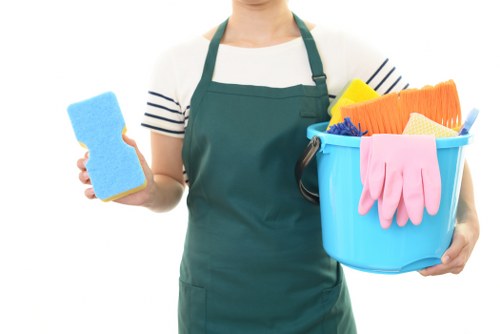 Cleaning professional reviewing service conditions at a property