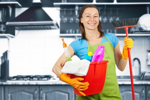 Scheduled domestic cleaning for Brentford homes and small businesses