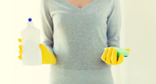 Professional cleaners in Brentford introducing the company values