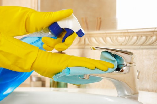 Targeted pet stain and smell removal in Brentford properties