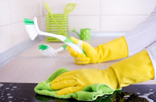 Routine gutter cleaning for a Brentford home or business