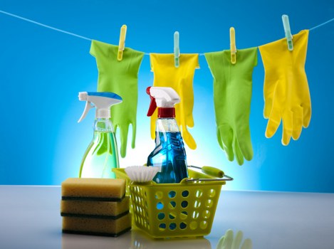 Local Brentford upholstery cleaning for pet accidents and smells